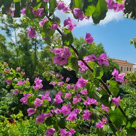Casa Marisa * San Felice Circeo